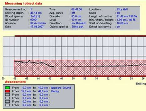 timber pile inspection measurements