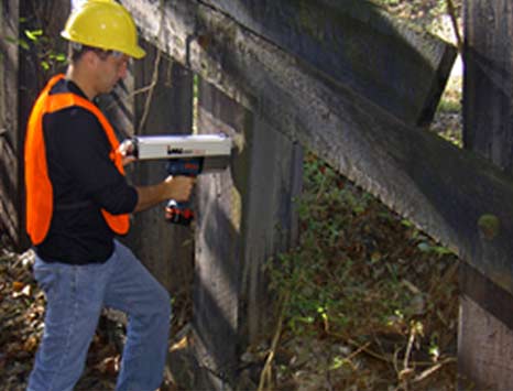 timber pile inspector